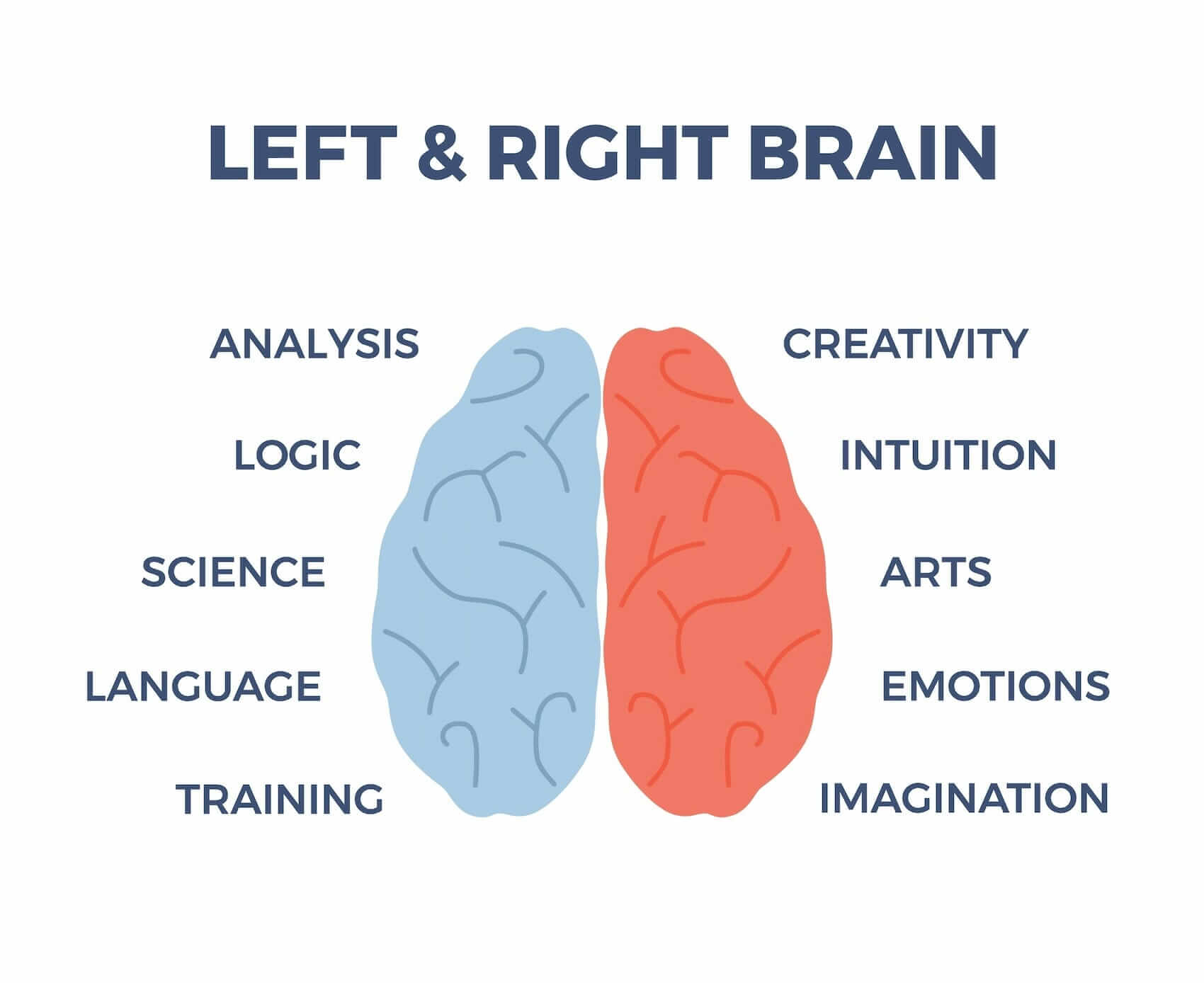 Infographic of left and right side of brain Mile High Psychology Example of assessing brain-behavior functioning with neuropsychological tests