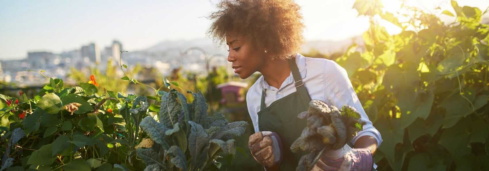 Woman,Tending,To,Kale,In,Communal,Urban,Garden Mile High Psychology Restoring balance through individual therapy