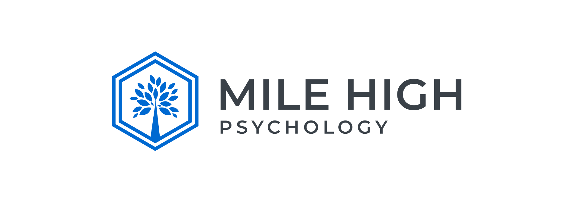 Mile High Psychology logo used in the top menu of company website